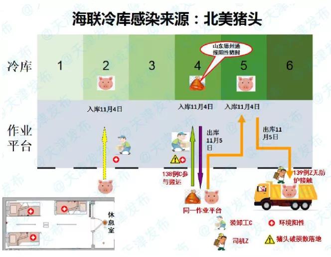 确定了！天津海联冷库感染来源为北美猪头 | 浦东东航物流货站通知